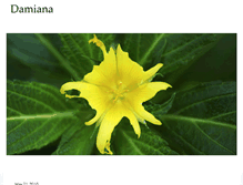 Tablet Screenshot of damiana.com